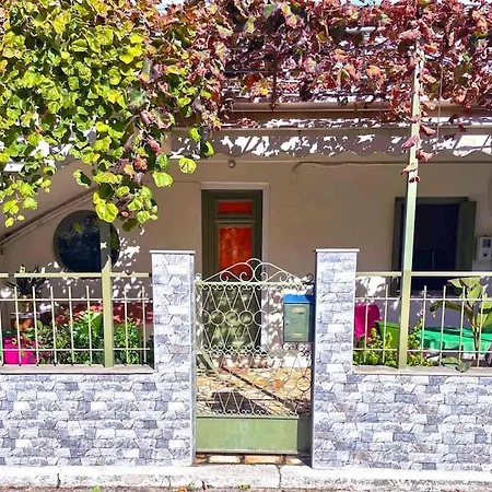 Simotas 4 Four * Порос