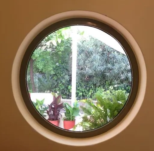 Simotas 4 Four * 波罗斯