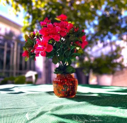 Simotas 4 Four * Poros (Kefalonia)